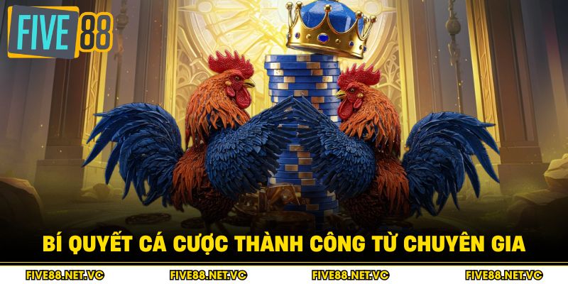 Bí quyết cá cược thành công từ chuyên gia