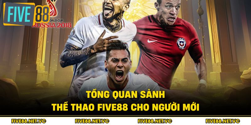 Thể Thao Five88 - Sân Chơi Cá Cược Số 1 Châu Á 1 Tổng quan sảnh thể thao Five88 cho người mới